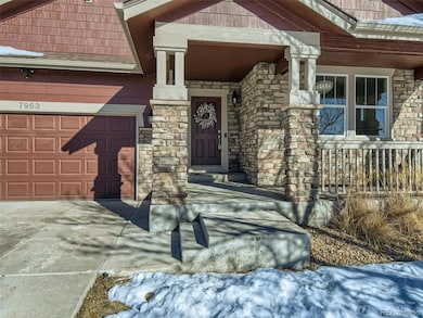 7963 E 131st Place, Thornton, CO 80602 - photo 3