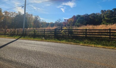 000 9 81 Acres Quinland Lake Rd N, Cookeville, TN 38506 - photo 3