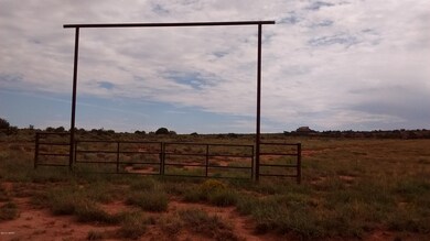 Gate on White Antelope