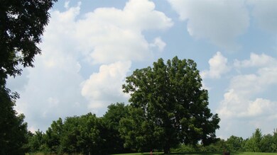 111 Locust Grove Dr unit 14, Georgetown, KY 40324 - photo 5