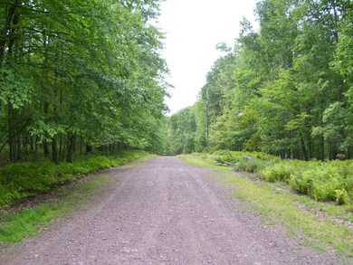 Lot 149 Mountain Top Rd, Lackawaxen Township, PA 18435 - photo 7