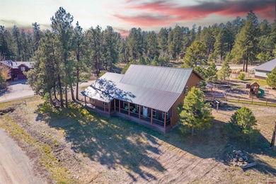 475 Hills Cir, Pagosa Springs, CO 81147 - photo 2