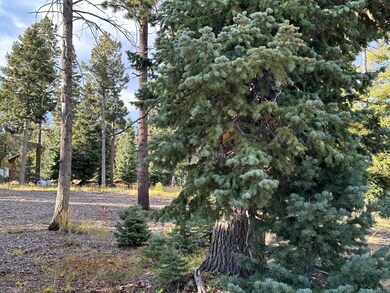 Lot has been cleared and leveled