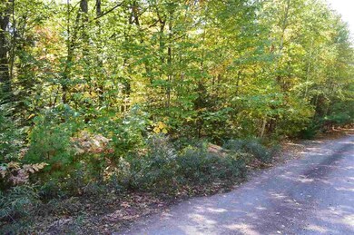 3 Sagamore Ridge unit Lot 6, Tuftonboro, NH 03816 - photo 4
