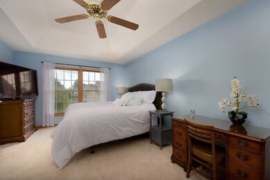 4767 Fesseneva Ln, Naperville, IL 60564 - photo 4