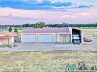 1007 Carnation Aly, Carlsbad, NM 88220 - photo 4