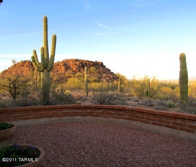 tucson owls 052