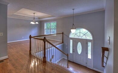 Additional View