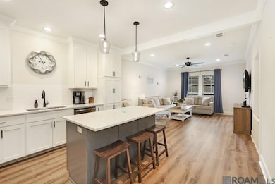 8065 Lockhart Rd unit 4D, Denham Springs, LA 70726 - photo 7