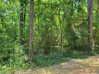 0 Sweet Gum Dr unit 36517348, Hockley, TX 77447 - photo 4