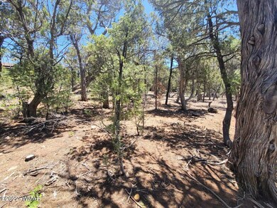 3511 W Falling Leaf Road