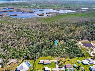 11301 Arden Lakes Dr, Pine Island Center, FL 33922 - photo 5