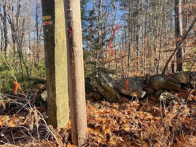 Robinson Rd. left boundary