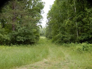 6550 Ccc Rd, Danbury, WI 54830 - photo 4