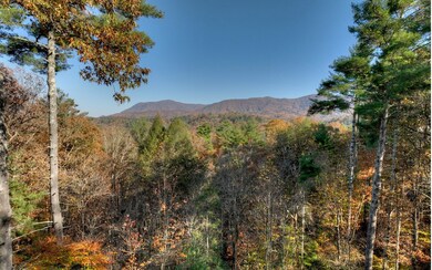 Additional View