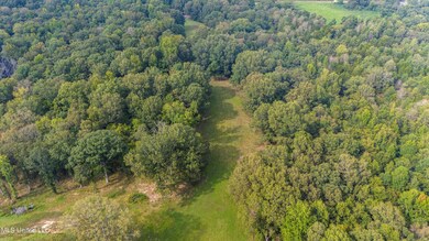 05-DJI_20240911155553_0173_D