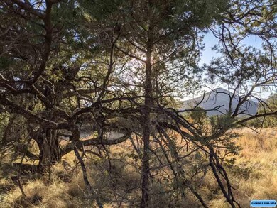 21 Vesuvius Way, Silver City, NM 88061 - photo 2