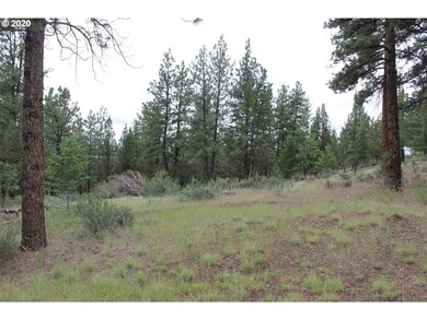 0 Pineview Ln, Canyon City, OR 97820 - photo 2