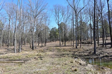 Thompson Farm Rd, Mabelvale, AR 72013 - photo 7