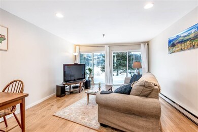 100 W Canal St unit 25, Winooski, VT 05404 - photo 7