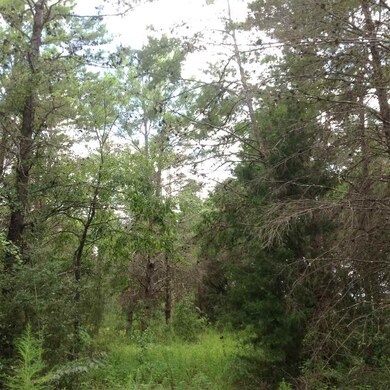 0 Seameadows Dr unit 274143, Perry, FL 32348 - photo 2