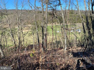 1279 Thorn Run Rd, Grant, WV 26833 - photo 4
