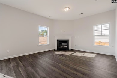 260 Brando Way, Columbia, SC 29223 - photo 3