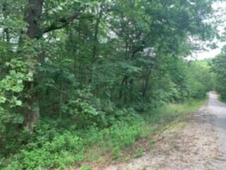 Camp or Build Acreage