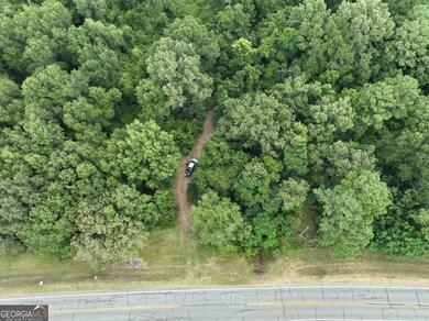 0 Abbeville Hwy, Pineview, GA 31071 - photo 2