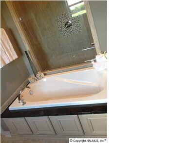 The Signature bath. A tub topped with granite and cased in cabinetry. Ooh lala.