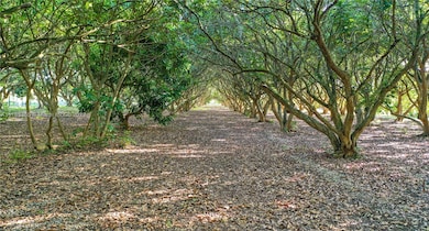 16900 SW 232nd St, Miami, FL 33170 - photo 6