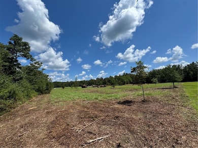 5.5 Acres Eaglesnest Ln, Franklinton, LA 70438 - photo 2