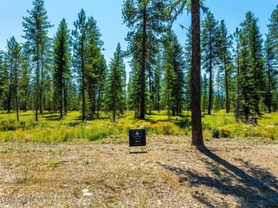 L2 B1 Wallace Ln, Blanchard, ID 83804 - photo 6