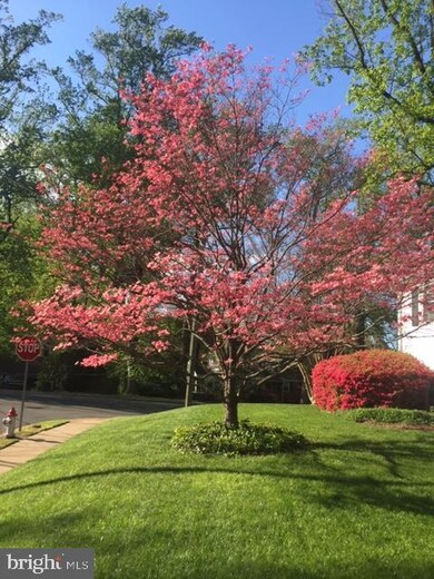 606 Abbott Ln, Falls Church, VA 22046 - photo 4