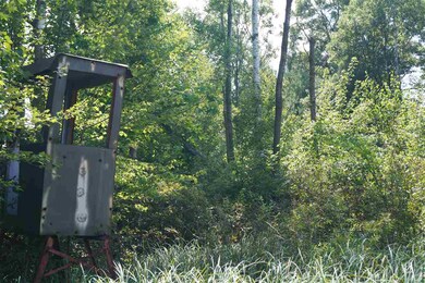 40 Ac County Road C, Orange, WI 54618 - photo 7