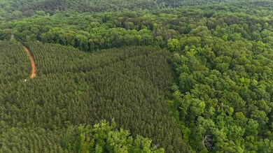 0 0 Cr 323 & Cr 310, Iuka, MS 38852 - photo 4