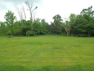 Back Yard 2