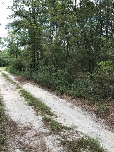 XX Andrew Spears Rd, Crawfordville, FL 32327 - photo 2