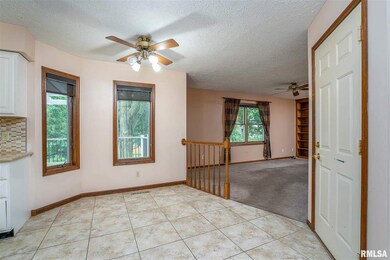 1117 W 57th St, Davenport, IA 52806 - photo 7