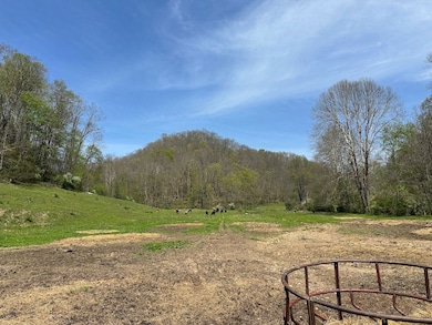 8829 Clay Rd, Left Hand, WV 25251 - photo 3