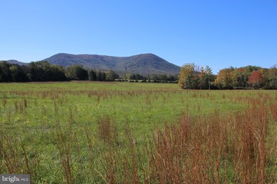 0 Sadlick Lot O Rd, Strasburg, VA 22657 - photo 2