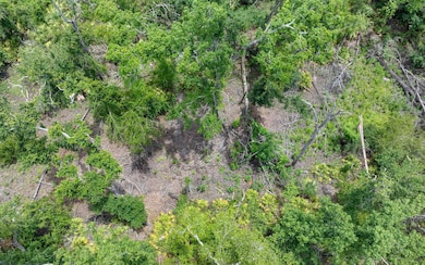 TBD 114th Cir, Dowling Park, FL 32060 - photo 6