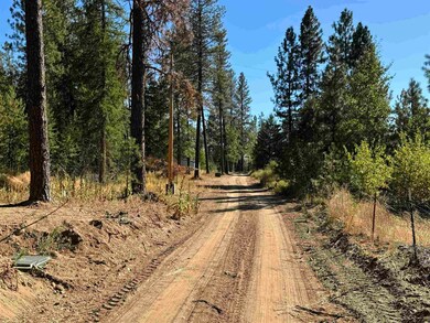 610 N A St unit Lot 2, Springdale, WA 99173 - photo 4