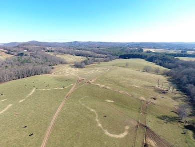 302 Cardinal Cir, Laurel Fork, VA 24352 - photo 5