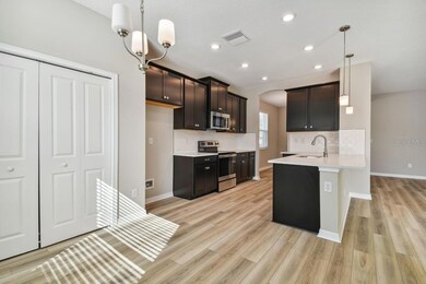 5005 Emerald Acres Way, Zephyrhills, FL 33541 - photo 7