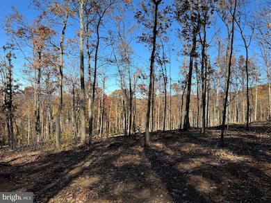 0 Digging Bear Ln unit VALO2111584, Purcellville, VA 20132 - photo 3