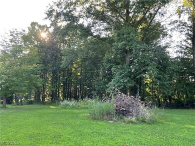 10850 Lagrange Rd, Elyria, OH 44035 - photo 5