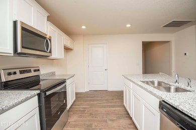 7452 Game Bird St, Corryton, TN 37721 - photo 6