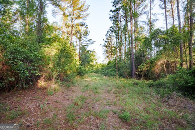 0 Dm Tillman, Baxley, GA 31513 - photo 7