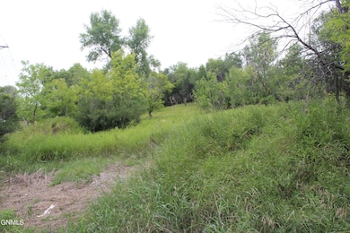 1003 3rd Ave NE, Jamestown, ND 58401 - photo 2